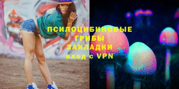 амф Володарск