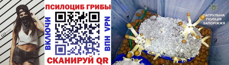Купить закладки  Горячеводский  Псилоцибиновые грибы мицелий 